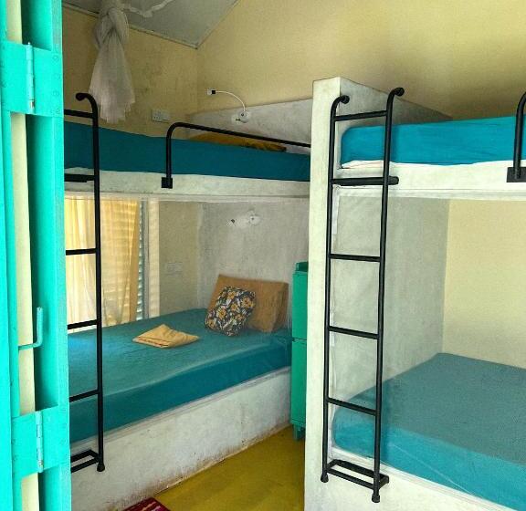 Lazy Monkey Surfhostel   Sri Lanka