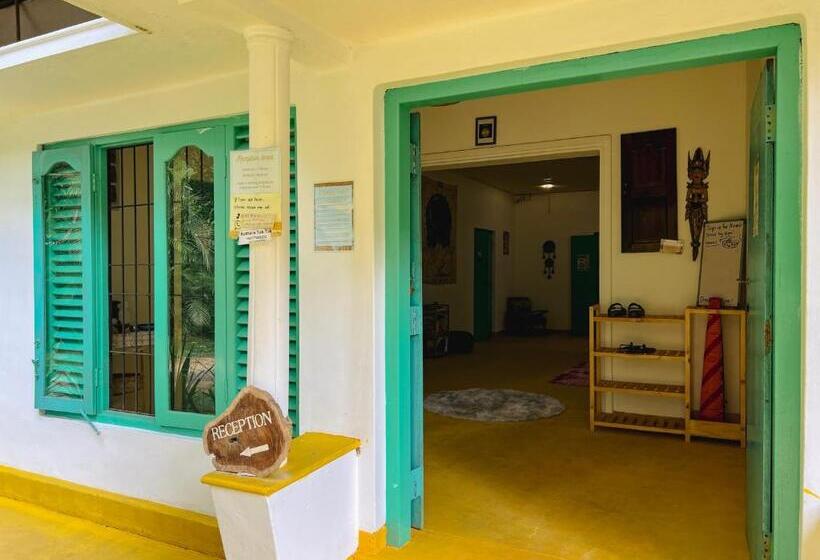 Lazy Monkey Surfhostel   Sri Lanka