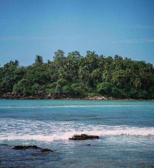 Lazy Monkey Surfhostel   Sri Lanka