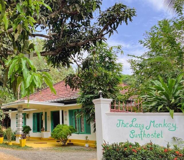 Lazy Monkey Surfhostel   Sri Lanka