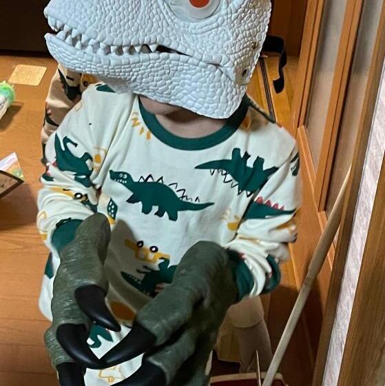 Pansiyon 11月フルリフォーム 12月オープン恐竜一色ゲストハウスdinosaur Guesthouse