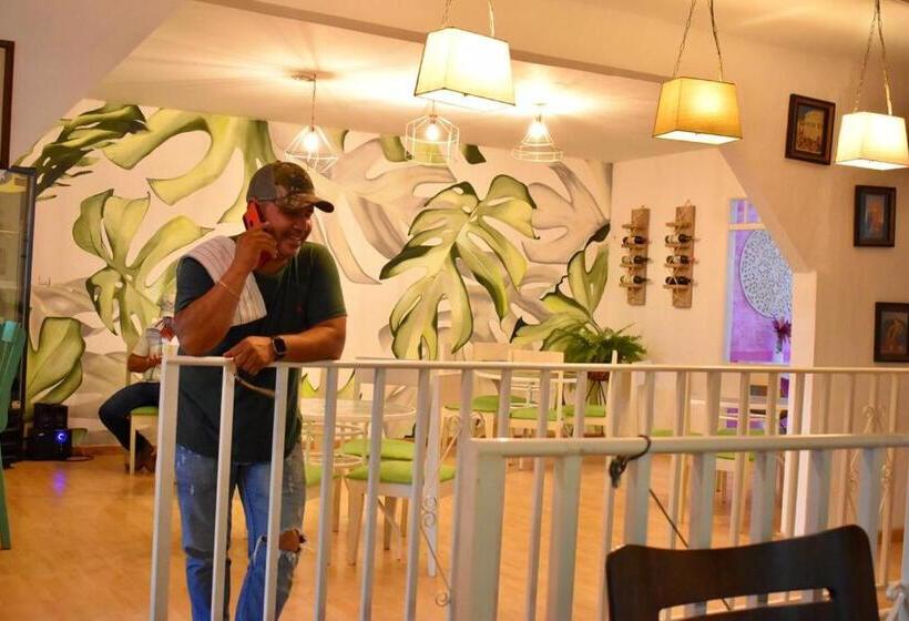 펜션 Hostal Arbol Cafe Caicedonia