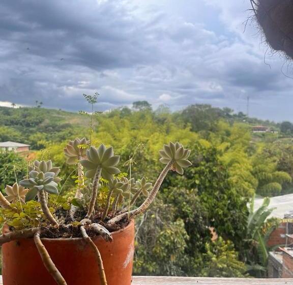 펜션 Hostal Arbol Cafe Caicedonia