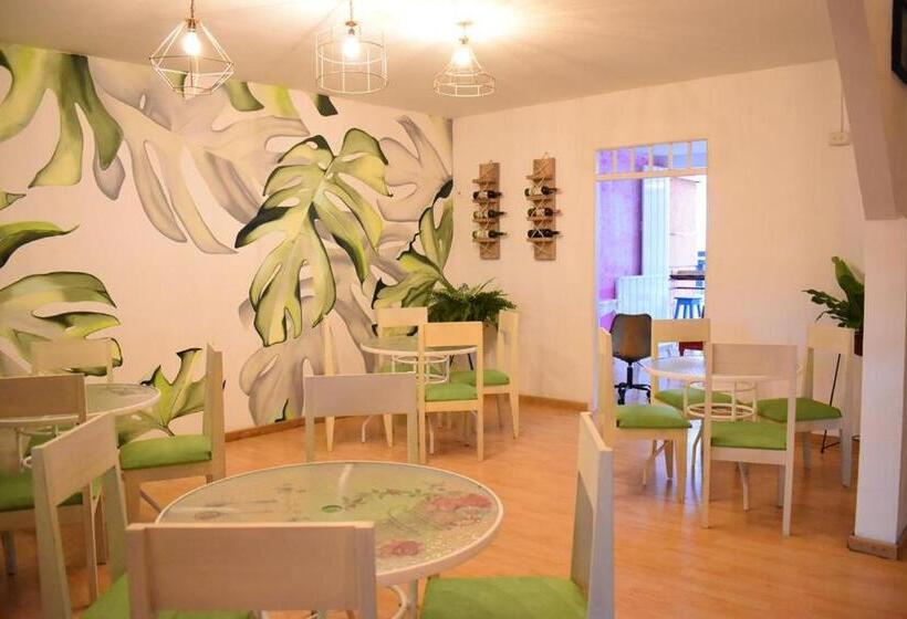 펜션 Hostal Arbol Cafe Caicedonia