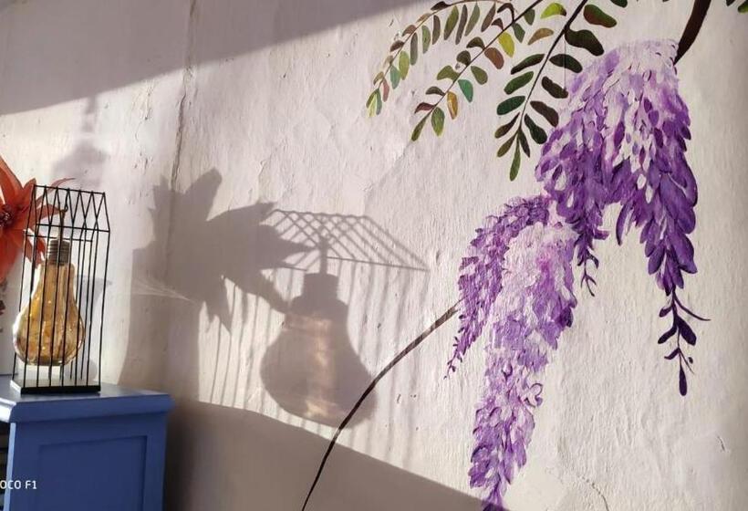 펜션 Hostal Arbol Cafe Caicedonia