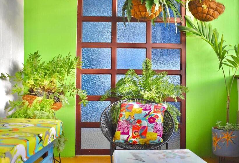 펜션 Hostal Arbol Cafe Caicedonia