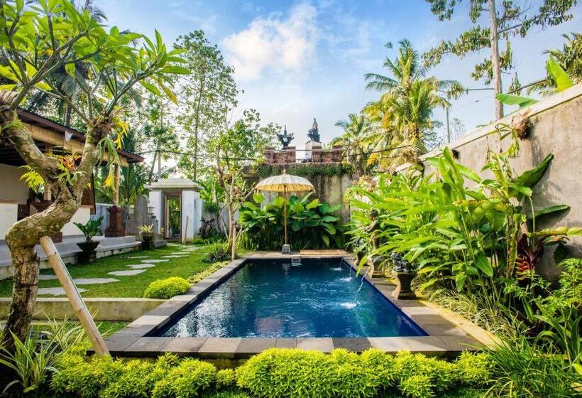 Pensiune Rice Fields Healing Apartment 1: Source Of Energy