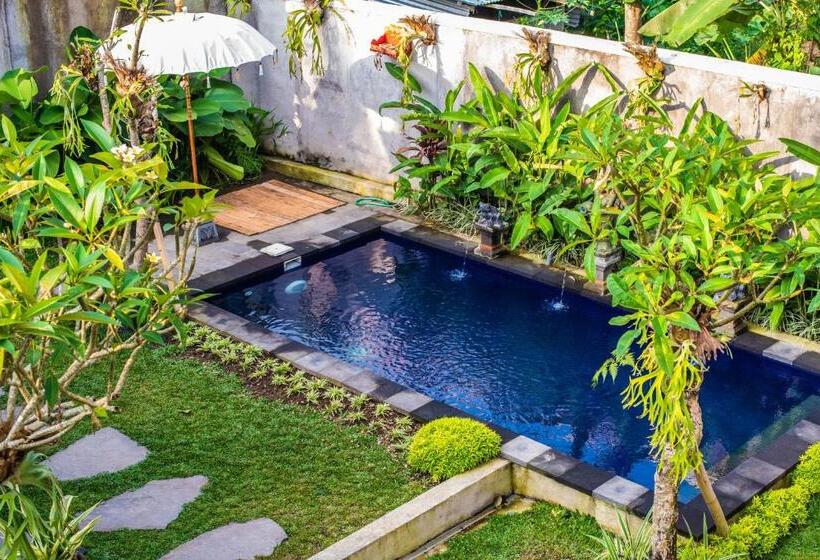 Pensão Rice Fields Healing Apartment 1: Source Of Energy