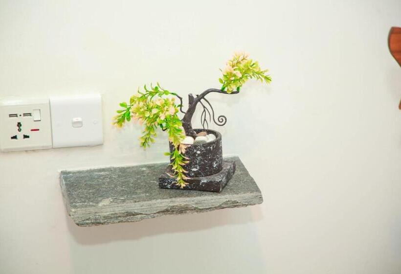 פנסיון Samee Dream Guest