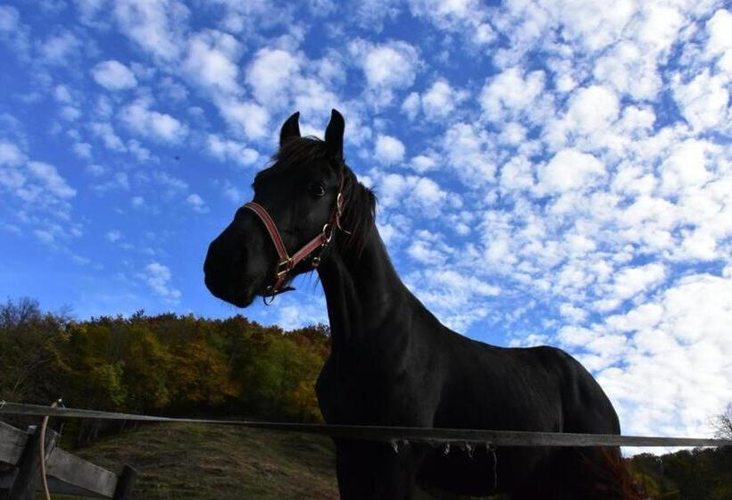 Pensiunea Crenguța Fermecată