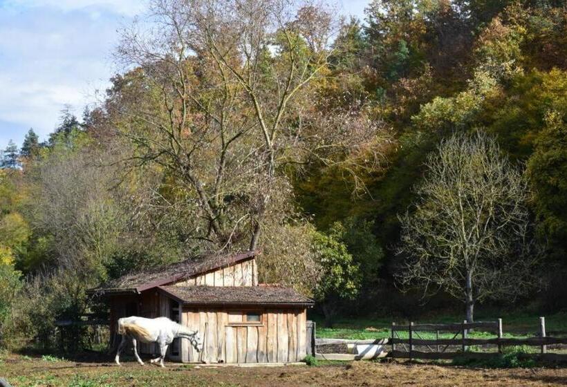 Pensiunea Crenguța Fermecată