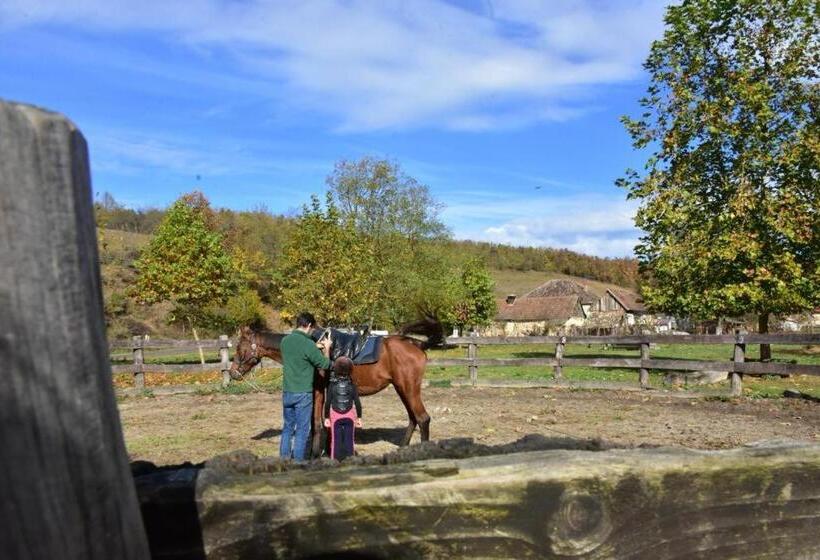 Pensiunea Crenguța Fermecată