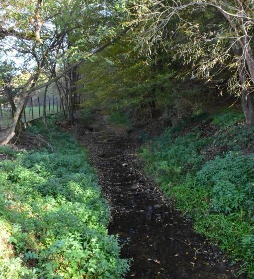 Pensiunea Crenguța Fermecată