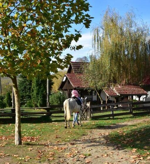 Pensiunea Crenguța Fermecată
