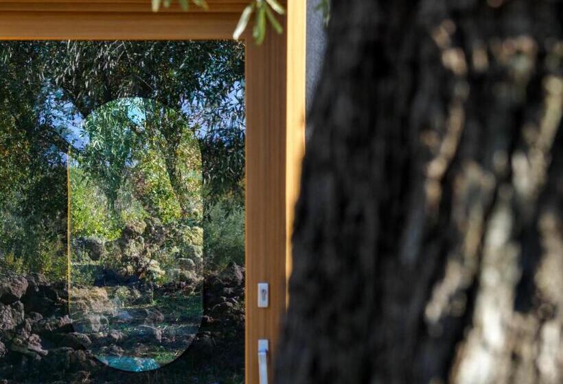 منتجع Podere Dell Etna Segreta   Essential Nature
