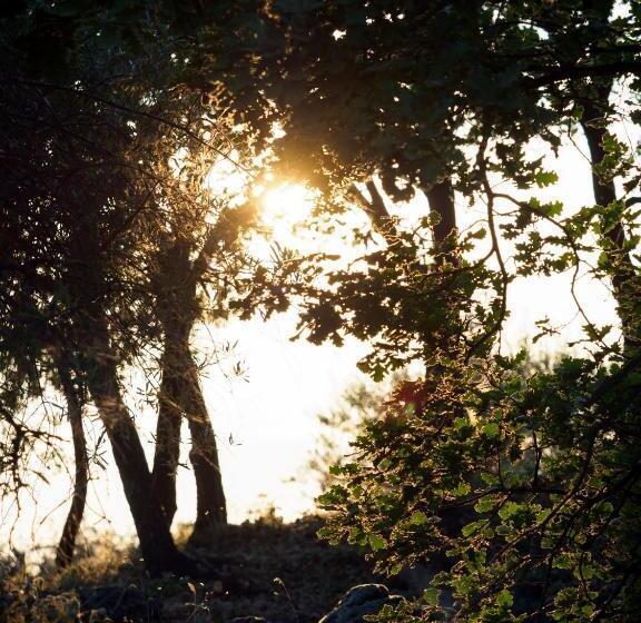 منتجع Podere Dell Etna Segreta   Essential Nature