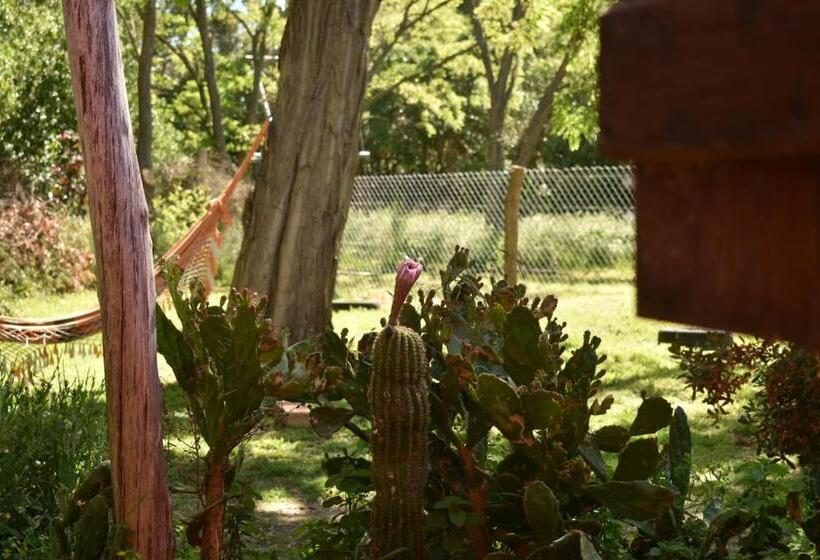 فندق صغير Almar Holística