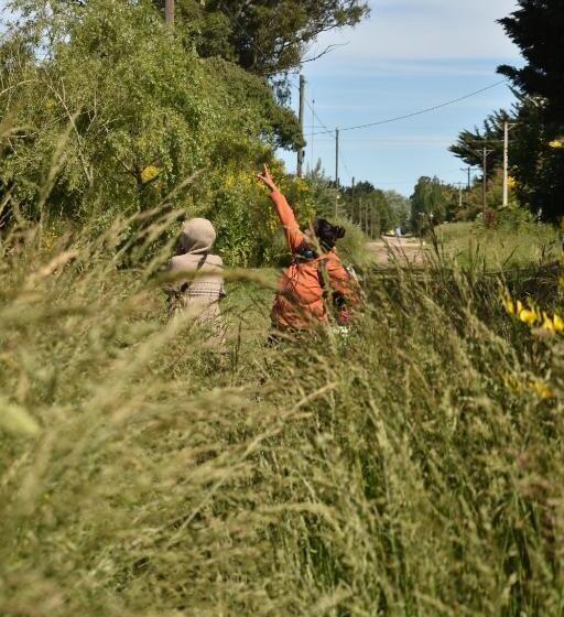 فندق صغير Almar Holística