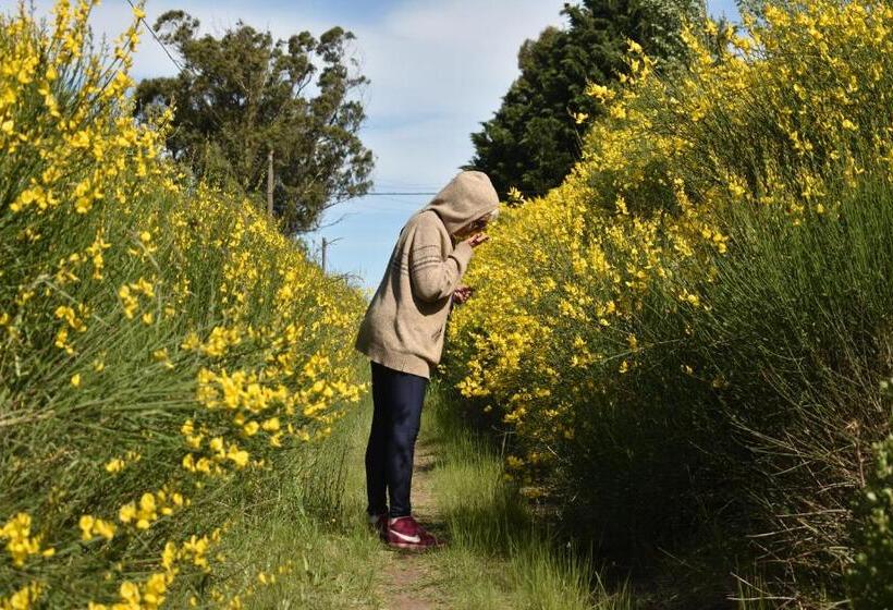 فندق صغير Almar Holística