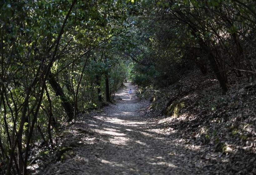 فندق صغير Oasi Francescana Sant Ignazio Da Laconi