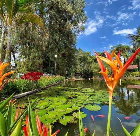 호스텔 Posada Turistica Avalon