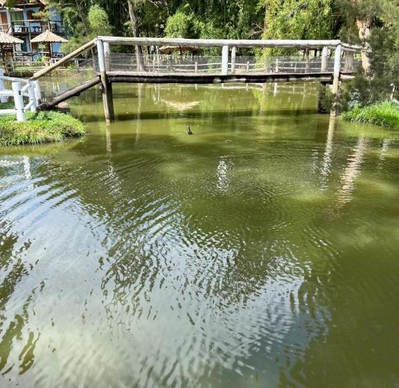 הוסטל Pousada Recanto Dos Cisnes