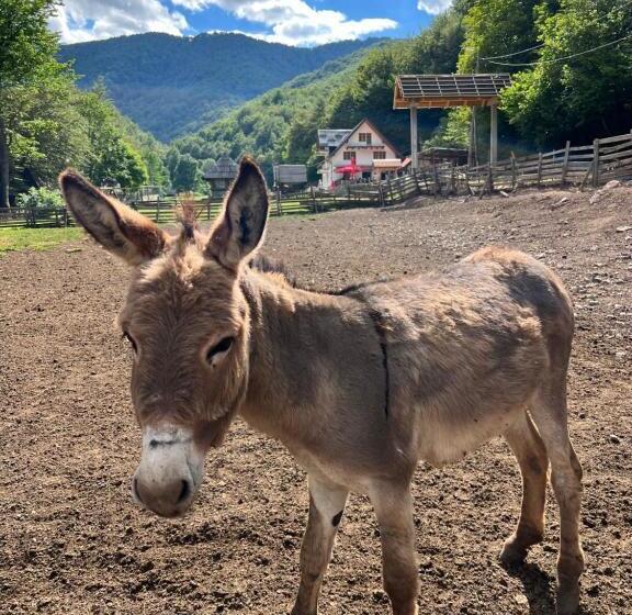 تختخواب و صبحانه Bjelasnica Villa Treskina Dvorišta Apartmani Izletište Ribnjak