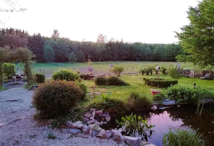 Bed and Breakfast La Libellule