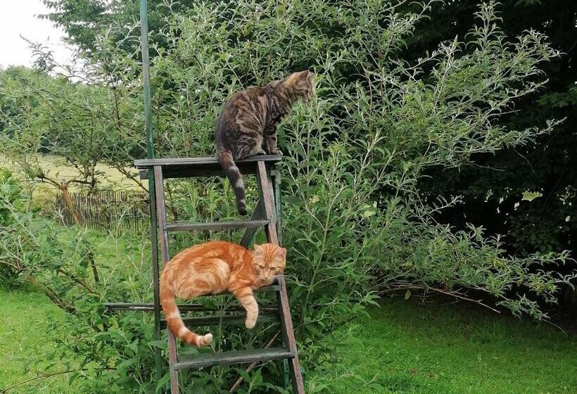 צימר La Libellule