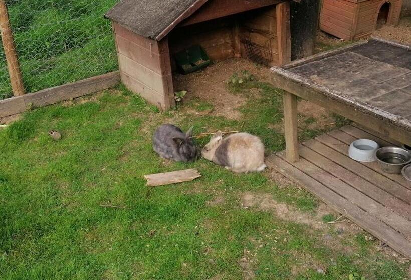 Bed and Breakfast La Libellule