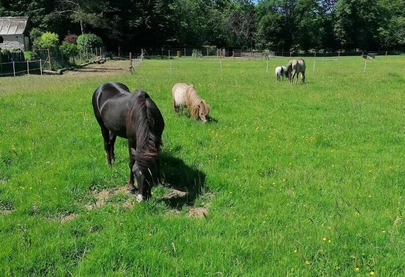 Bed and Breakfast La Libellule