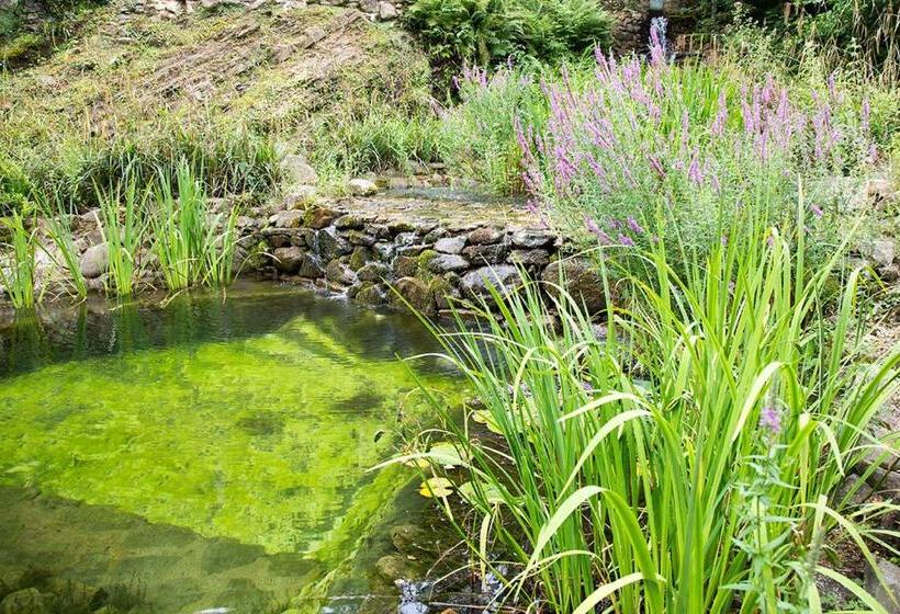 Отель Agriturismo Molinvecchio