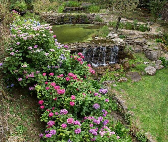 호텔 Agriturismo Molinvecchio