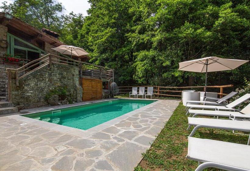 Отель Agriturismo Molinvecchio