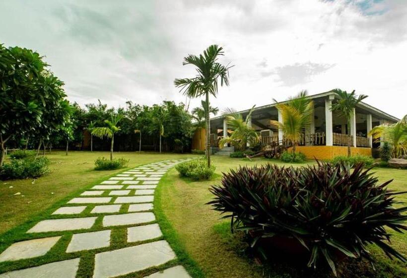 ホテル Anaya Resort