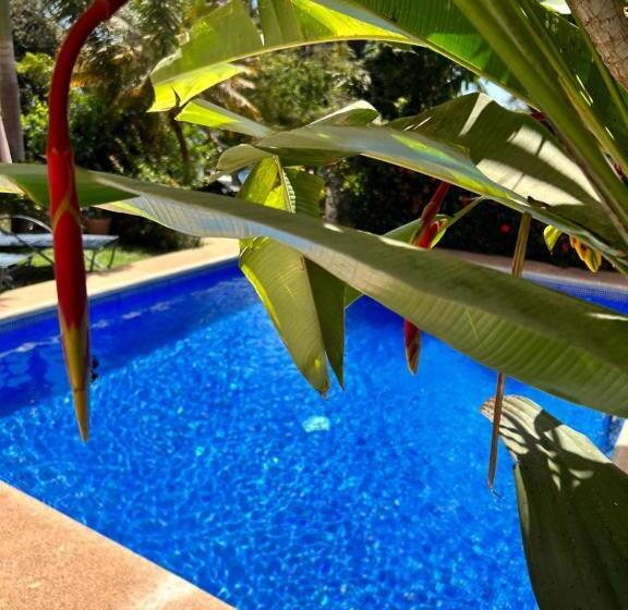 فندق Bungalows Buenavista