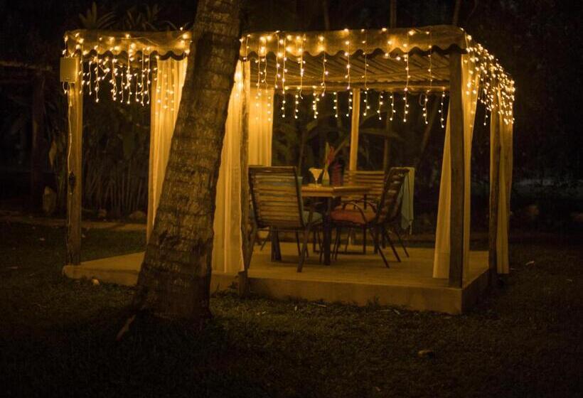 בית מלון כפרי Cabañas Safari Eco