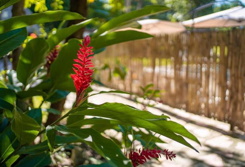 בית מלון כפרי Cabañas Safari Eco