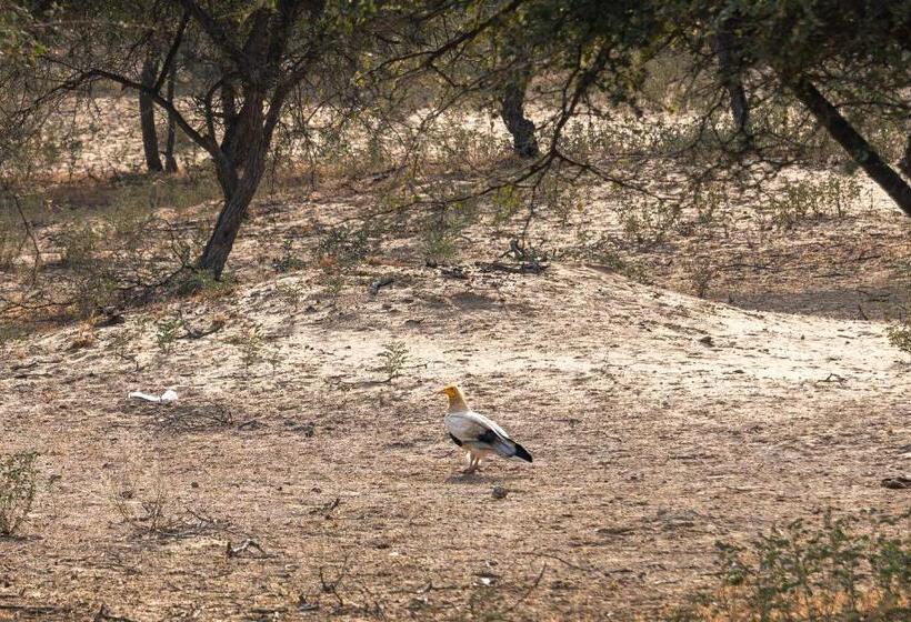 בית מלון כפרי Desert Trails Khuri