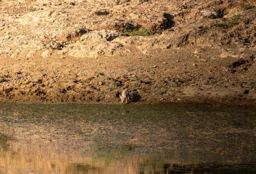 בית מלון כפרי Desert Trails Khuri