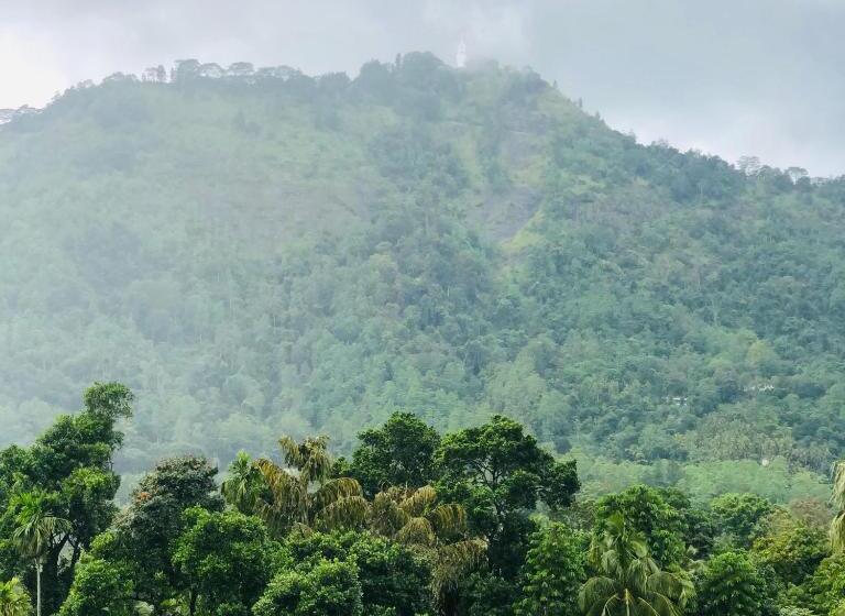 فندق Green View Peak