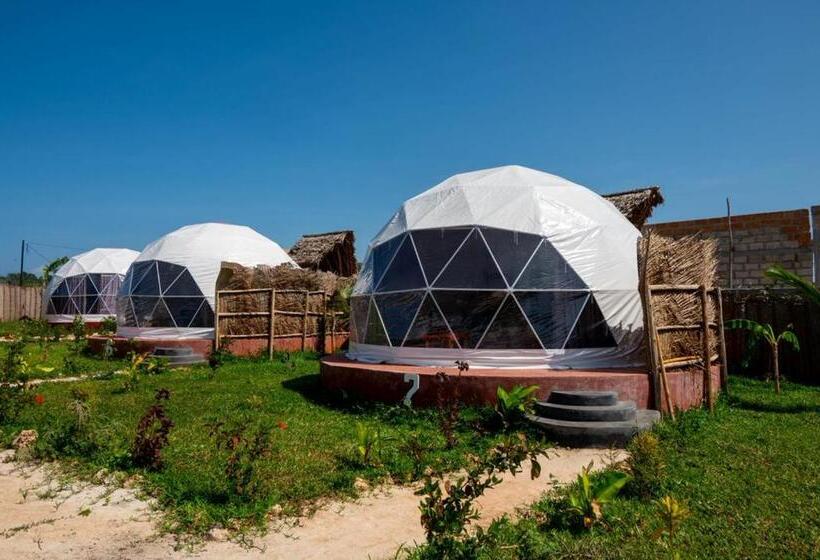 בית מלון כפרי Paradise City