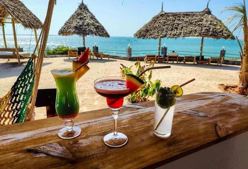 בית מלון כפרי Paradise City