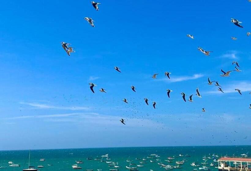 호텔 Punta Veleros Rooftop