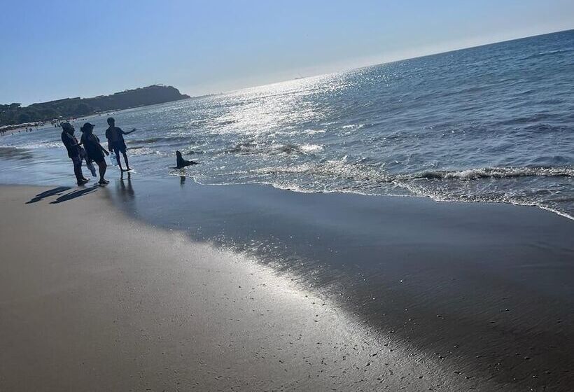 호텔 Punta Veleros Rooftop