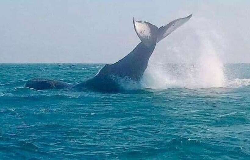 호텔 Punta Veleros Rooftop