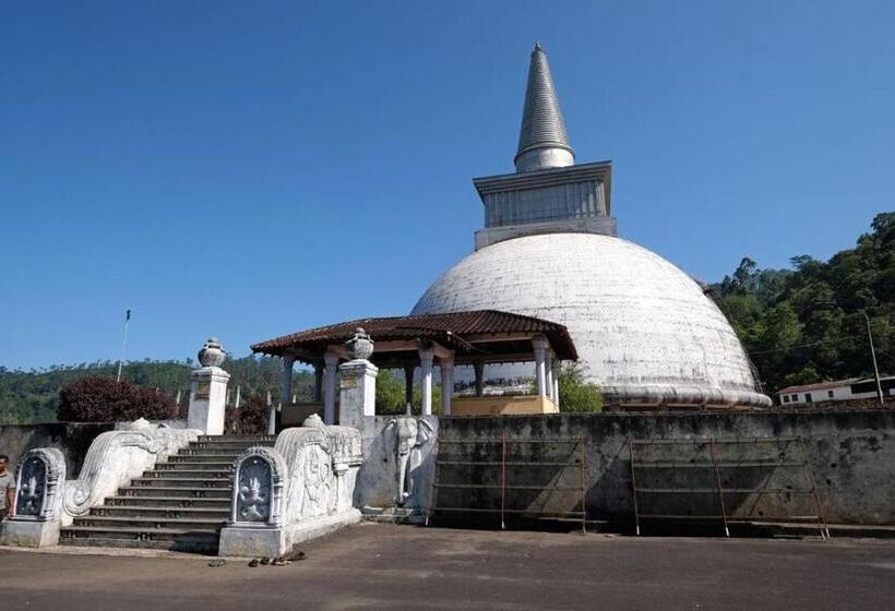 Отель Royal Mount