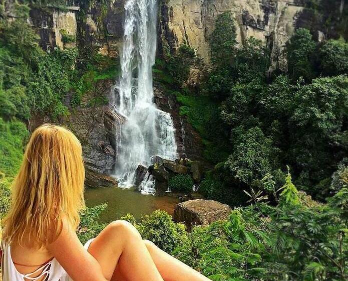 Отель Royal Mount