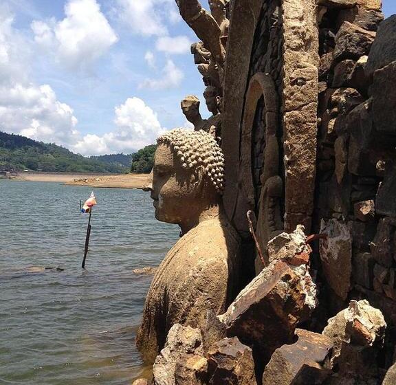 Отель Royal Mount