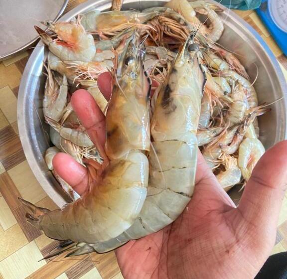 Hotel Shravi Farmhouse